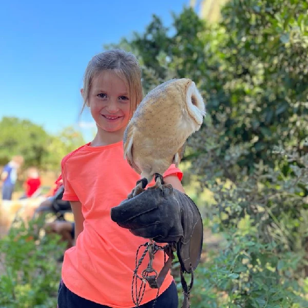 Picture of Girl holding a bird of prey